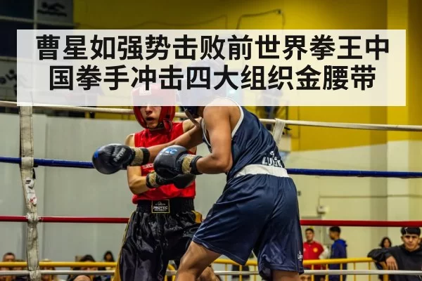 曹星如强势击败前世界拳王中国拳手冲击四大组织金腰带