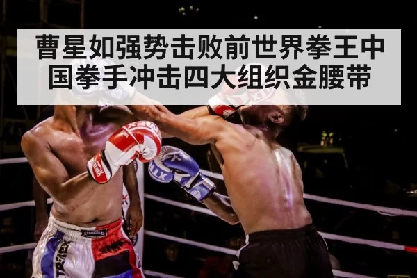 boxer training gloves